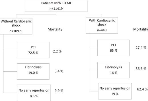 Acute reperfusion therapies and in-hospital mortality in patients with and without cardiogenic shock.