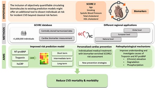 Overview of the ‘Population Risk Prediction’ project. Boxes show the project hypothesis, resources and methods, and aims to tackle cardiovascular disease burden. CVD, cardiovascular disease; GCVRC,Global Cardiovascular Risk Consortium; NT-proBNP, B-type natriuretic peptide.