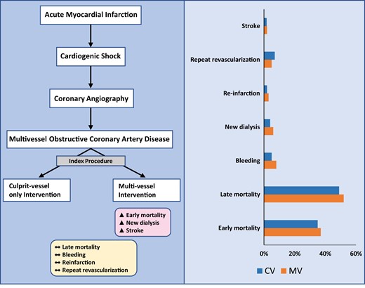 Multivessel intervention during index catheterization after acute myocardial infarction and cardiogenic shock associated with worse outcomes.