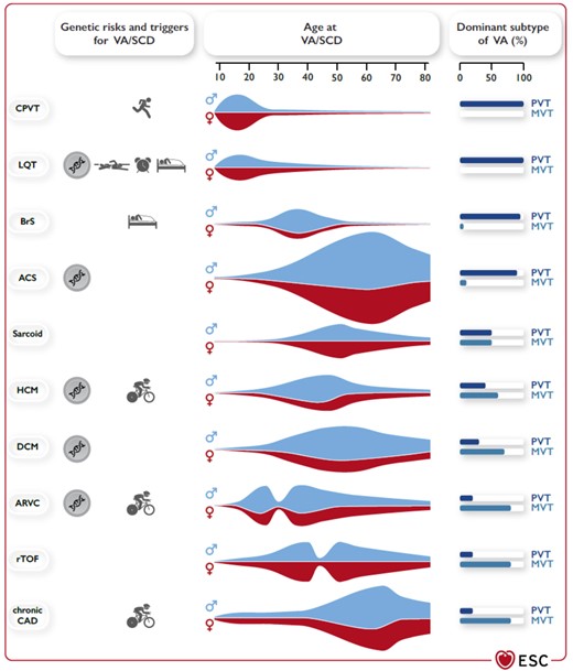 Clinical presentation for VT and SCD in accordance to underlying diseases. Genetic risk for VT/SCD, typical triggers for VT/SCD, age at presentation with VT/SCD, sex predominance, and typical VT. (PVT/VF vs. MVT) in different diseases associated with VA/SCD. ACS, acute coronary syndrome; ARVC, arrhythmogenic right ventricular cardiomyopathy; BrS, Brugada syndrome; CAD, coronary artery disease; CPVT, catecholaminergic polymorphic ventricular tachycardia; DCM, dilated cardiomyopathy; HCM, hypertrophic cardiomyopathy; LQT, long QT syndrome; MVT, monomorphic ventricular tachycardia; PVT, polymorphic ventricular tachycardia; rTOF, repaired tetralogy of Fallot; SCD, sudden cardiac death; VA, ventricular arrhythmia; VF, ventricular fibrillation.(adopted from ref. 2).