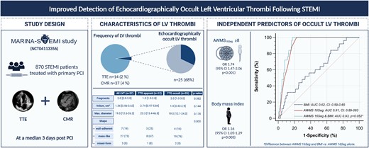 Suggested screening algorithm. Suggested screening algorithm based on the optimal cut-off for 16-segment apical wall motion score (AWMS16seg) <8 (blue, low risk) and ≥8 (red, high risk) yielding a sensitivity of 100% and a specificity of 77% for the detection of transthoracic echocardiography (TTE)-occult left ventricular thrombus (LVT). After dichotomization of the study population, 70% (n = 610) of ST-elevation myocardial infarction (STEMI) patients belong to this low-risk group, defined as AWMS16Seg < 8 (blue). In this group, no occult LVT was identified. Thus, this group has a negative predictive value of 100%. Therefore, further testing by cardiac magnetic resonance imaging is not required. Thirty percent (n = 260) of the study population belong to the high-risk group, defined as AWMS16Seg ≥ 8 (red) with a positive predictive value of 12. All TTE-occult LVT (n = 25) of the study cohort were found in this group. In this group, 10% of patients presented with a TTE-occult LVT, represented by the hatched line in the pie chart. ‘Created with Biorender’.