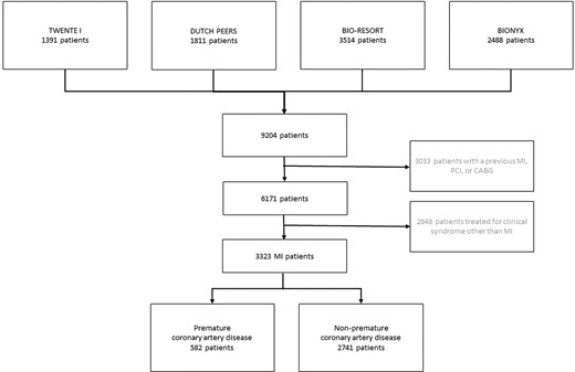 Flowchart. The number of patients who presented with an acute myocardial infarction, stratified by premature coronary artery disease. CABG, coronary artery bypass surgery; MI, myocardial infarction; PCI, percutaneous coronary intervention.