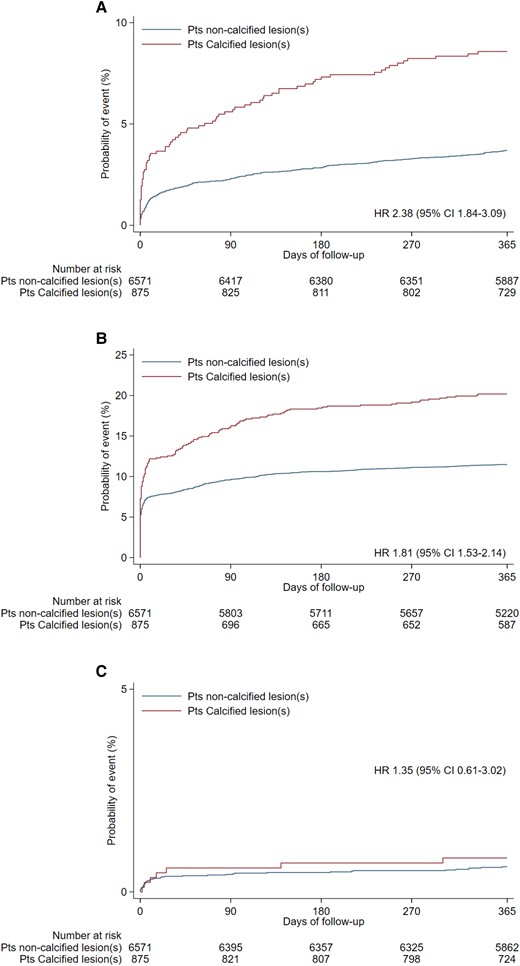 Individual components of composite primary endpoint at 365 days. (A) All-cause mortality, (B) myocardial infarction, (C) stroke. CI, confidence interval; HR, hazard ratio.