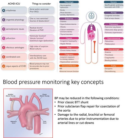 Key considerations in the management of adult congenital heart disease patients in the intensive care unit. Left, the ACHD-ICU acronym outlining the main points to be considered in the care of the ACHD patient. Right, non-cardiac problems impacting critical care. Bottom, unique aetiologies of low blood pressure in ACHD patients. Abbreviations: CHD, congenital heart disease; EKG, electrocardiogram; PVR, pulmonary vascular resistance; ACHD, adult congenital heart disease; SBE, subacute bacterial endocarditis; BP, blood pressure; BTT, Blalock–Taussig–Thomas.