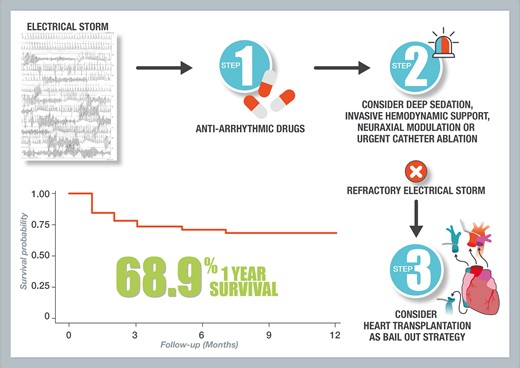 Graphical Abstract