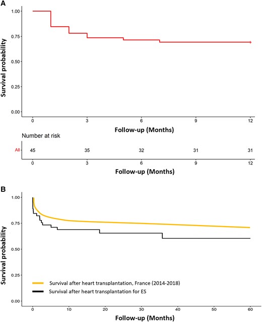 Kaplan–Meier survival estimates after heart transplantation. (A) One-year survival estimates after heart transplantation for electrical storm. (B) Five-year survival estimates after heart transplantation for electrical storm and after heart transplantation in France (all indications combined). ES, electrical storm.