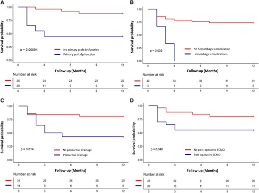 Kaplan–Meier 1-year survival estimates depending on several mortality predictive factors: primary graft dysfunction (A), haemorrhagic complications (B), pericardial drainage (C), and immediate post-operative extracorporeal membrane oxygenation support (D). ECMO, extracorporeal membrane oxygenation.