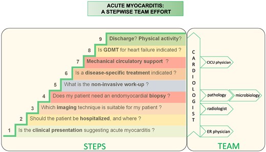 Clinical management of acute myocarditis in daily practice: a stepwise team effort. This central figure illustrates the logical question-and-answer, step-by-step approach used in daily practice.