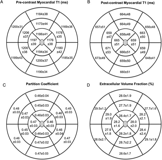 Variation in the different T1 measures across the left ventricular myocardium in patients with aortic stenosis. There were no differences in the pre- (A) or post-contrast (B) myocardial T1, partition coefficient (C), and the ECV values (D) across the 16 segments. ICC values were >0.90 for each myocardial segment