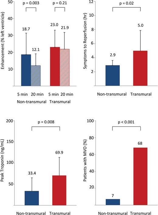 Transmural extent of infarction predicts important clinical parameters. Early gadolinium enhancement (5 min) overestimated the size of AMI in patients with non-transmural infarction. Patients with non-transmural infarctions had significantly shorter duration of symptoms to reperfusion (top right), lower peak troponin levels (bottom left), had a lower incidence of MVO (bottom right) than patients with transmural infarctions. The size of enhancement was similar at 5 and 20 min in patients with transmural infarctions.