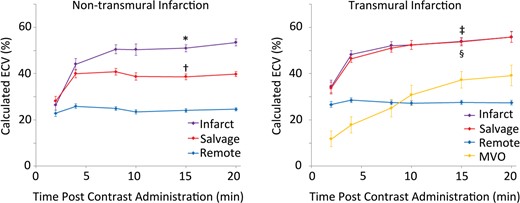 Calculated ECV in infarcted, salvaged, and remote myocardium. Pseudo steady state was reached for most areas of myocardium between 8 and 15 min except for regions of MVO. The ECV of salvaged myocardium is significantly different from both remote and infarcted myocardium in non-transmural infarctions. Data presented as mean ± 1 SEM. *P < 0.001 infarct vs. salvage, †P < 0.001 salvage vs. remote. ‡P > 0.05 infarctendo vs. infarctepi. §P < 0.001 infarctendo vs. remote and infarctepi vs. remote.