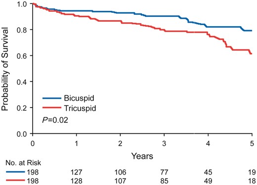 Five-year survival following aortic valve replacement. Overall 5-year survival following aortic valve replacement in an age-matched cohort was superior in bicuspid aortic valve patients compared with tricuspid aortic valve patients (79% vs. 61%, P = 0.02).