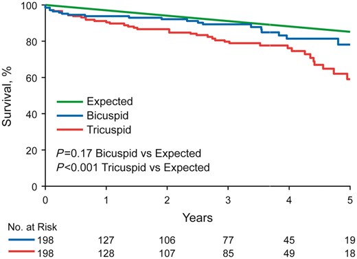 Five-year survival compared with age-matched expected. Overall 5-year survival following aortic valve replacement was not different than age-matched expected survival for bicuspid aortic valve patients (observed 79% vs. expected 86%, P = 0.17), but was worse than expected for tricuspid aortic valve patients (observed 61% vs. expected 86%, P < 0.001).