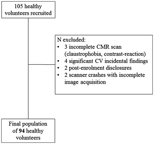 Population selection process. In the flow chart is illustrated the final population selection process. CV, cardiovascular.