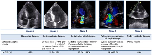 Proposed staging classification according to the presence and extent of cardiac damage on echocardiography with addition of LV GLS quintiles for reclassification. GLS, global longitudinal strain; LV, left ventricular; TAPSE, tricuspid annular plane systolic excursion.