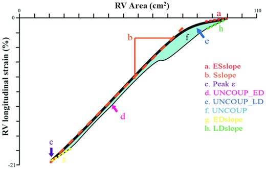 Schematic overview of the RV ϵ-area loop and the derived characteristics. The black line represents the ε-area loop, the thick part represents the systolic phase and the thin line the diastolic phase.