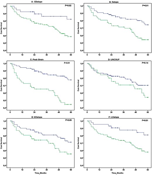 Kaplan–Meier survival curves (5-year follow-up) in 143 PH patients for individual characteristics of the RV ϵ-area loop that were categorized into low risk (blue line) and high risk (green line). The following loop characteristics were presented: ESslope (A), Sslope (B), peak strain (C), Uncoup (D), EDslope (E), and LDslope (F).