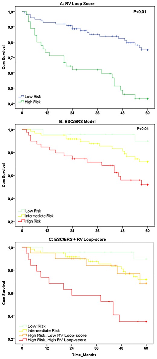 Kaplan–Meier survival curves for (A) the RV loop-score, categorised into low risk (blue line, n = 98) vs. high risk (green line, n = 45), (B) the 2015 ESC/ERS guidelines based model, categorised into low (green line, n = 23), intermediate (yellow line, n = 60), and high risk (red line, n = 39), and (C) the combined RV loop-score and ESC/ERS based model, categorized into low risk (green line, n = 23), intermediate risk (yellow line, n = 60), high risk—low RV loop-score (orange line, n = 20), and high risk—high RV loop-score (red line, n = 19).