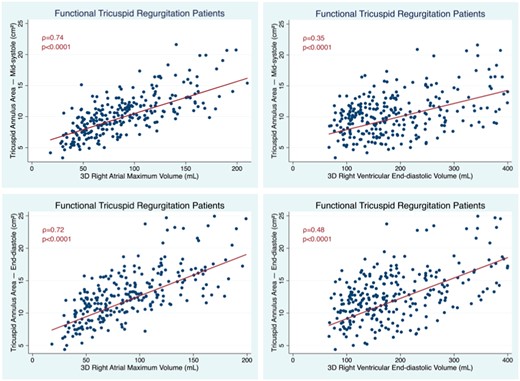 Correlation between TA areas measured at mid-systole (top) and end-diastole (bottom) with RA (left) and RV volumes (right) in patients with FTR. FTR, functional tricuspid regurgitation; RV, right ventricular.