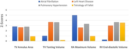 Z-scores in the four aetiologic groups of FTR. There was marked intergroup heterogeneity in right chamber and tricuspid geometry. FTR, functional tricuspid regurgitation.