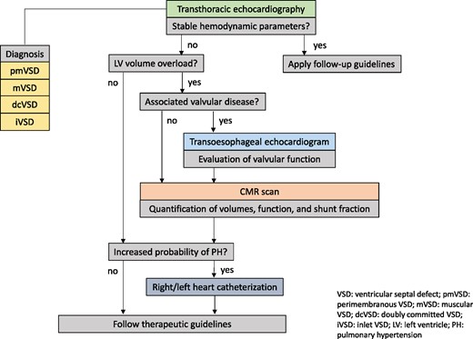 Diagnostic algorithm in suspected VSD. dcVSD, doubly committed VSD; iVSD, inlet VSD; LV, left ventricle; mVSD, muscular VSD; PH, pulmonary hypertension; pmVSD, perimembranous VSD; VSD, ventricular septal defect.