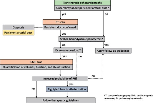 Diagnostic algorithm in suspected PDA. CT, computed tomography; CMR, cardiac magnetic resonance; PDA, persistent arterial duct; PH, pulmonary hypertension.