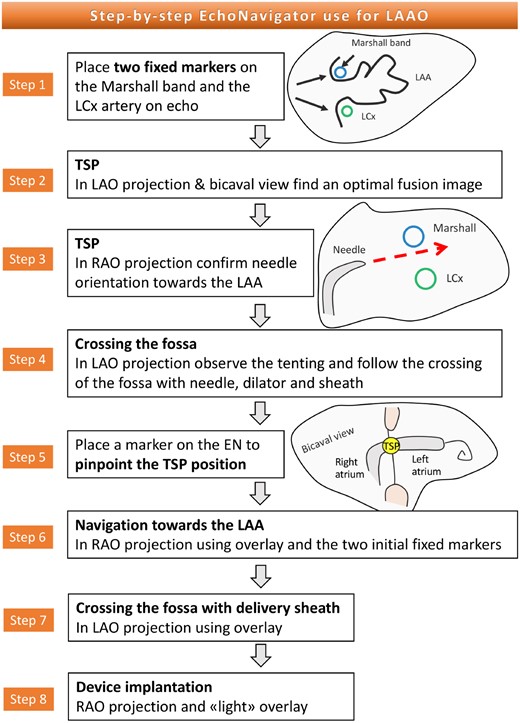 Flow chart for the use of EN in LAAO interventions.