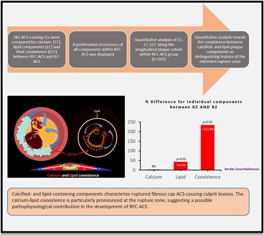 Summary of the figure. The Coexistence, occurrence and association of Calcified- and lipid-containing plaques with rupture points in patients with acute coronary syndrome (RFC-ACS).