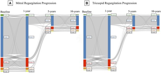 Alluvial plots demonstrating timing of long-term MR and TR progression. Alluvial plots indicating the number of individuals with mitral (A) or tricuspid (B) regurgitation of Grade 0+ (green), 1+ (blue), 2+ (red), 3+ (orange), or 4+ (yellow) at baseline and at 1-, 5-, and 10-years after the initial echocardiogram.