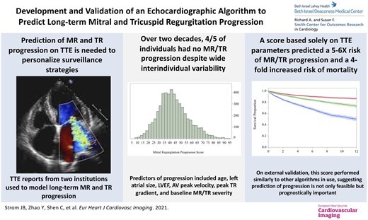 Graphical Abstract