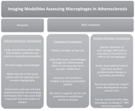 A summarized current landscape of the imaging assessment of macrophages in atherosclerosis.