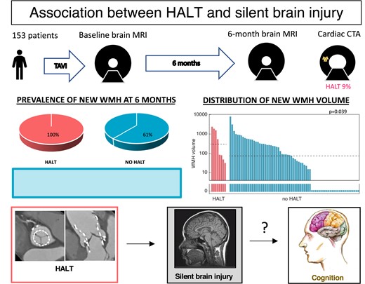 Graphical Abstract
