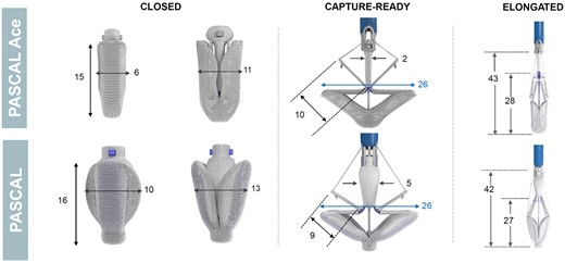 The PASCAL Repair System. There are features unique to the PASCAL repair system including a central spacer and adjacent paddles and clasps that attach the implant to the native leaflets to reduce regurgitation. (Note: all dimensions are in millimeters).