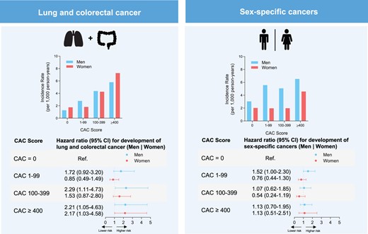 Association of coronary artery calcium with cancer subtypes. (Top left) Incidence rates per 1000 person-years for lung and colorectal cancer by sex. (Top right) Incidence rates per 1000 person-years for sex-specific cancers = prostate (men); ovarian, endometrial, and breast cancer (women). (Bottom left) Hazard ratios for development of lung and colorectal cancer and (Bottom right) sex-specific cancers by CAC score group and sex. CAC, coronary artery calcium score; CI, confidence interval.