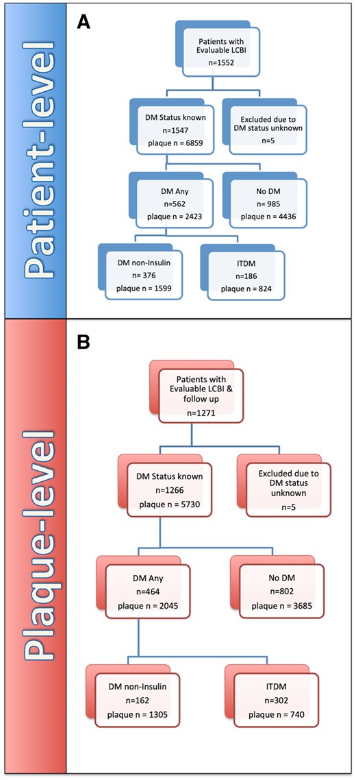 Patient-level. (A) Flow chart indicating overall patient LRP study cohort with evaluable follow-up up to 24 months. Plaque-level. (B) Flow Chart reporting overall LRP study cohort with evaluable follow-up up to 24 months. DM, diabetes mellitus (includes ITDM + non-ITDM); ITDM, insulin-treated diabetic patients; NC-MACE, non-culprit major adverse cardiac events; noDM, non-diabetic patients; non-ITDM, non-insulin-treated diabetic patients.