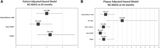 Forest plot of patient-level (A) and plaque-level (B) hazard model for 24 months NC MACE (*with NoDM patients as the reference). ITDM, insulin-treated diabetic patients; MLA, minimum lumen area; NC-MACE, non-culprit major adverse cardiac events; noDM, non-diabetic patients; non-ITDM, non-insulin-treated diabetic patients; PB, plaque burden.
