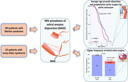 Mitral annulus disjunction (MAD) in Marfan and Loeys–Dietz syndromes. Note that patients with MAD had more frequent aortic dissection or prophylactic aortic surgery, and more frequent mitral valve surgery. Patients with MAD were younger at aortic event than those without MAD.
