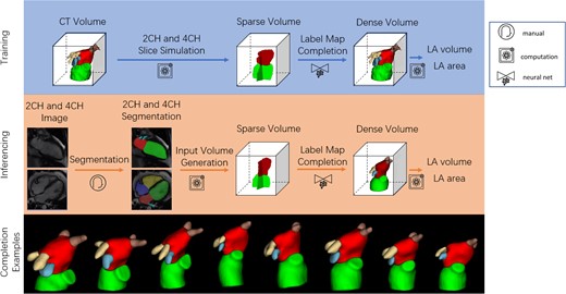 Graphical Abstract