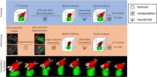Overall pipeline. The green, red, blue, yellow and brown labels are the LV, LA, LA appendage, left pulmonary vein and right pulmonary vein respectively. Top: Training pipeline using CCTA. Middle: Inferencing pipeline using CMR. Bottom: examples of a variety of network outputs.