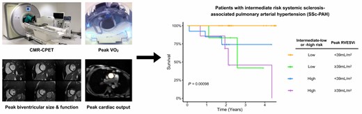 Graphical Abstract