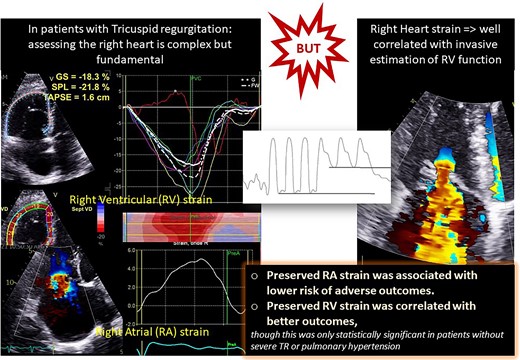 Graphical Abstract
