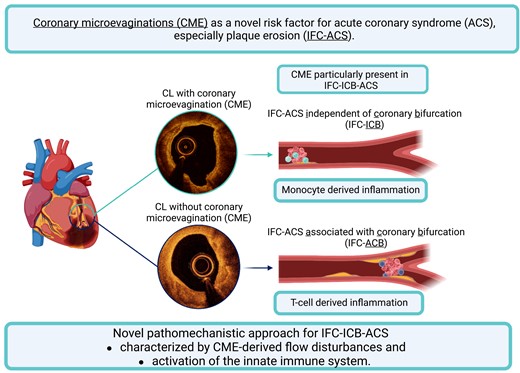 Graphical Abstract