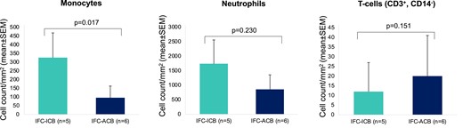 Cell counts of different immune cells as derived from coronary thrombi aspirated in IFC-ACS, associated with a coronary bifurcation (IFC-ACB) or independent of a coronary bifurcation (IFC-ICB). ACB, associated with a coronary bifurcation; CD, cluster of differentiation; CL, culprit lesion; ICB, independent of coronary bifurcation; IFC-ACS, intact fibrous cap acute coronary syndrome; SD, standard deviation.