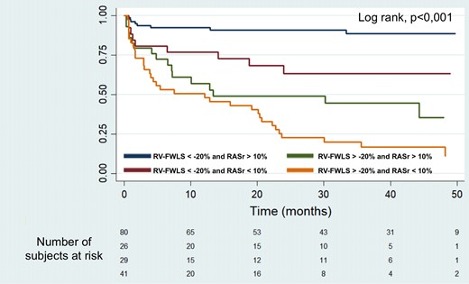 Kaplan–Meier survival curves according to STREI stratification based on RV-FWLS above/below −20% and RASr above/below 50% (Groups 1–4).