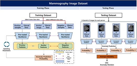 Graphical Abstract