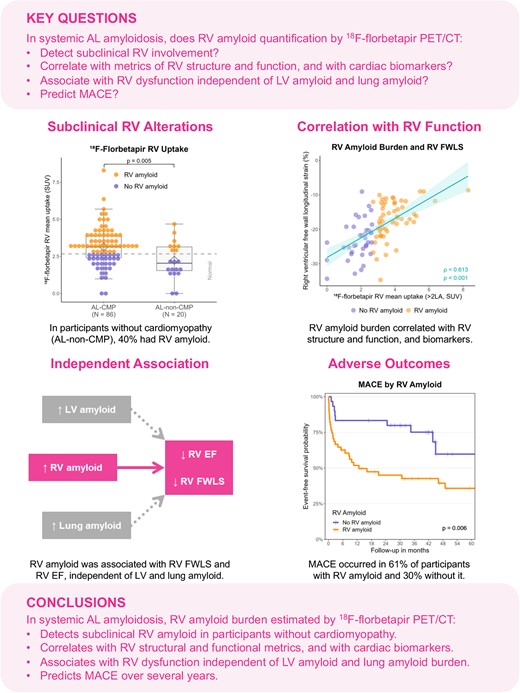 AL, light-chain amyloidosis; EF, ejection fraction; FWLS, free wall longitudinal strain; LV, left ventricular; MACE, major adverse cardiac events (all-cause death, heart failure hospitalization, or cardiac transplantation); PET/CT, positron emission tomography/computed tomography; RV, right ventricular.