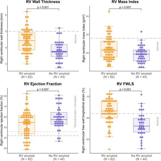 Right ventricular wall thickness, mass index, and ejection fraction were measured on MRI and RV FWLS on echocardiography. Normal reference values were RV wall thickness ≤ 5 mm, RV mass index ≤ 28 g/m2, RV ejection fraction ≥ 42% in males and ≥46% in females, and RV FWLS ≤ −18% (see Methods). RV amyloid was determined on 18F-florbetapir PET/CT. P-values were calculated using Wilcoxon rank-sum test. PET/CT, positron emission tomography/computed tomography; RV, right ventricular.