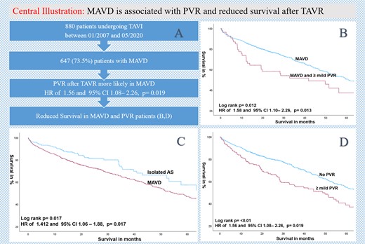 (A) Flowchart, (B) Kaplan–Meier estimates of survival comparing MAVD patients with the presence or absence of PVR after TAVR; (C) Kaplan–Meier estimates of survival comparing MAVD with isolated AS, and (D) Kaplan–Meier estimates of survival according to the presence or absence of ≥ mild PVR after TAVR.