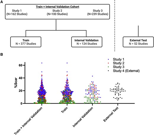 Study design flowchart and distribution of per cent scar in the train and test sets. (A) Schematic of the number of studies used for training from Study 1,16,17 Study 2,18 and Study 319 studies. A 75–25% train-internal validation split was utilized. A separate external test set of 52 studies was subsequently evaluated. (B) Distribution of per cent myocardial scar burden (%Scar) in the train and internal validation sets (left), train set (middle), internal validation set (right) from Study 1 (blue), Study 2 (red), and Study 3 (green) studies, and external test set (study 4). The distribution of per cent scar was similar between the train and internal validation sets as well as the external test set. Created with BioRender.com.