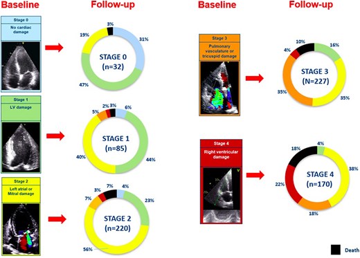 Evolution of baseline cardiac damage at 6-month follow-up per each stage. Each colour-coded rectangular box corresponds to baseline cardiac damage stages. Each pie chart shows the evolution of the baseline cardiac damage at 6-month follow-up after TAVI. Black colour denotes patients who died within 6 months after TAVI (n = 72). The other colours in the pie chart represent the cardiac damage stages as coded at baseline. LV, left ventricular; TAVI, transcatheter aortic valve implantation.